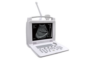 ML-3018I Laptop Veterinary Ultrasound Scanner